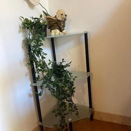 Lägenhet La Casetta Nel Centro Storico Monterosso al Mare