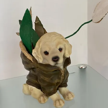 La Casetta Nel Centro Storico